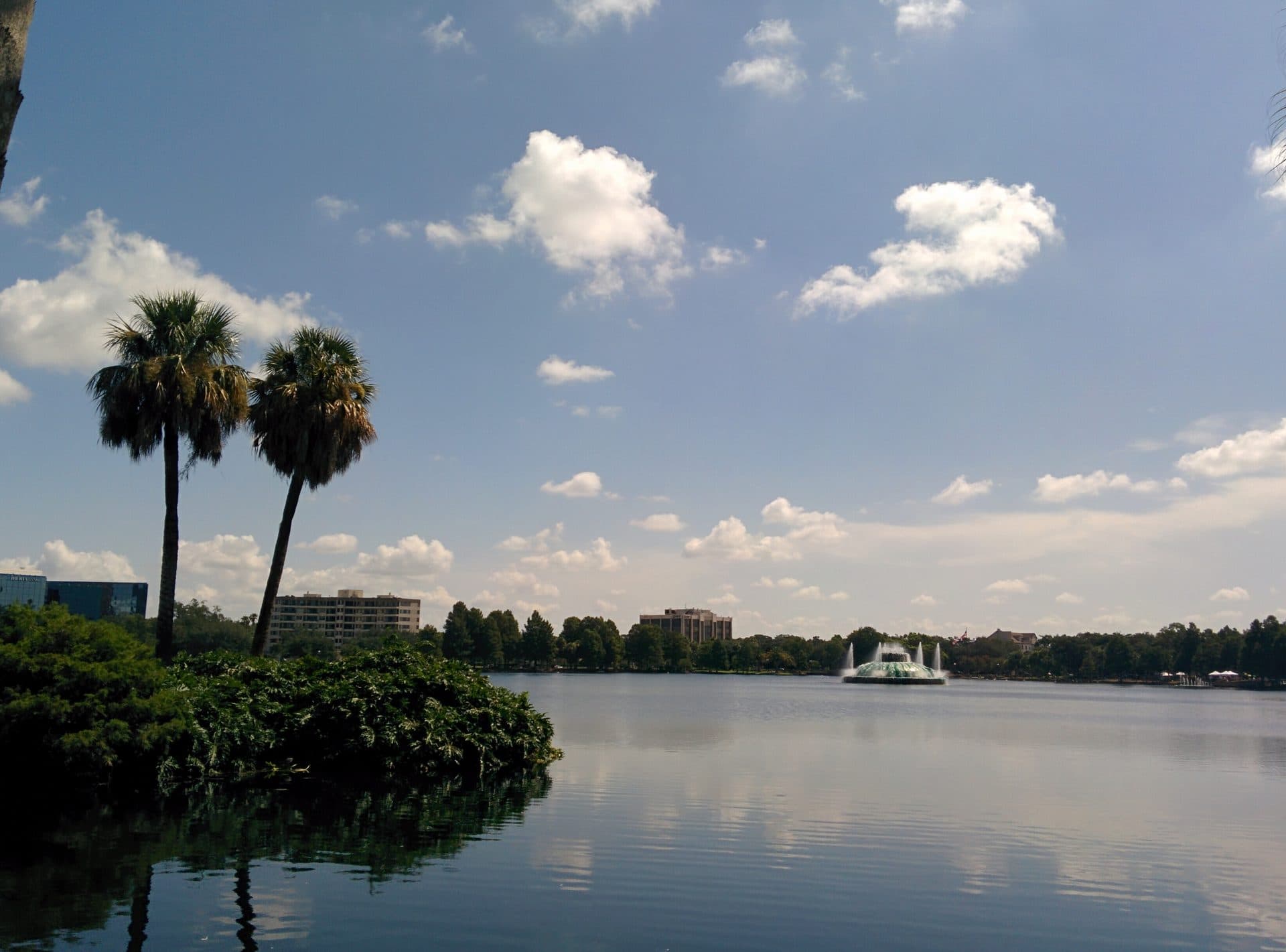 Lake Eola Charter School — homes and neighborhoods in the attendance zone
